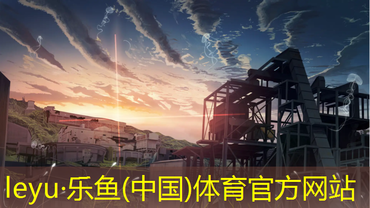 乐鱼体育,哑铃划船重量不够怎么办
