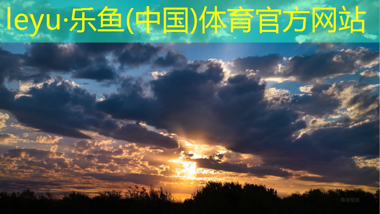 leyu·乐鱼(中国)体育官方网站,甘孜复合型塑胶跑道材料