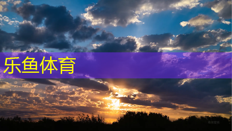<strong>乐鱼体育,劣质塑胶跑道事件</strong>