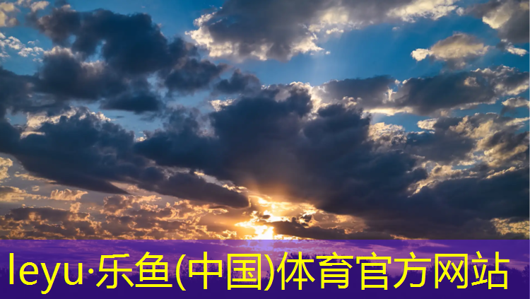 网球网前横向截击是什么_