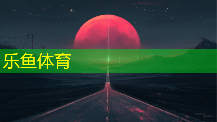 乒乓球台落点划分