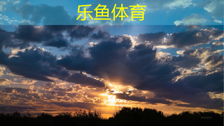 水曲柳地板塑胶跑道